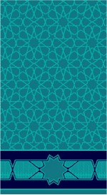 Albiser M 113 Koyu Çini