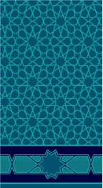 Albiser M 113 Turkuaz