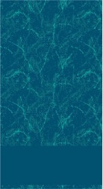 Albiser M 124 Turkuaz Albiser M 124 Turkuaz