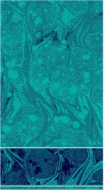 Albiser M 150 Koyu Çini Albiser M 150 Koyu Çini